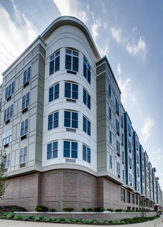 ??????????????????????