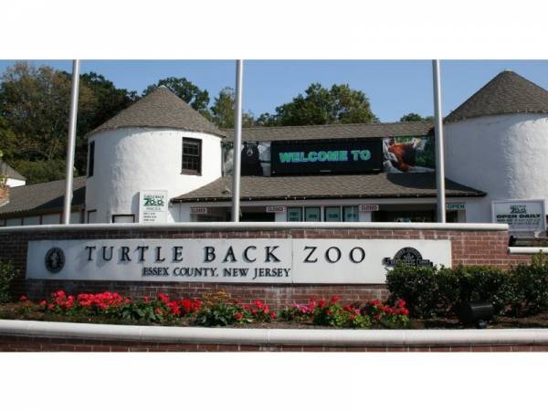 westorange_turtlebackzoo_patch